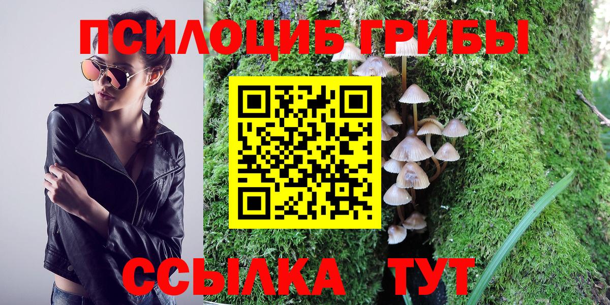 Галлюциногенные грибы прущие грибы  Вход с VPN  Псилоцибиновые грибы Psilocybe  Тулун 